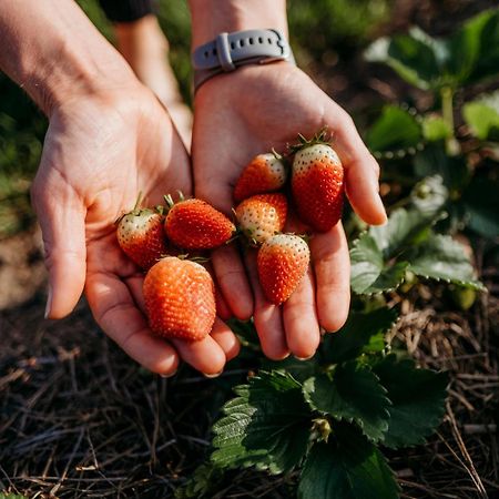 منزل الضيف ستانفورد  في White Water Farm المظهر الخارجي الصورة