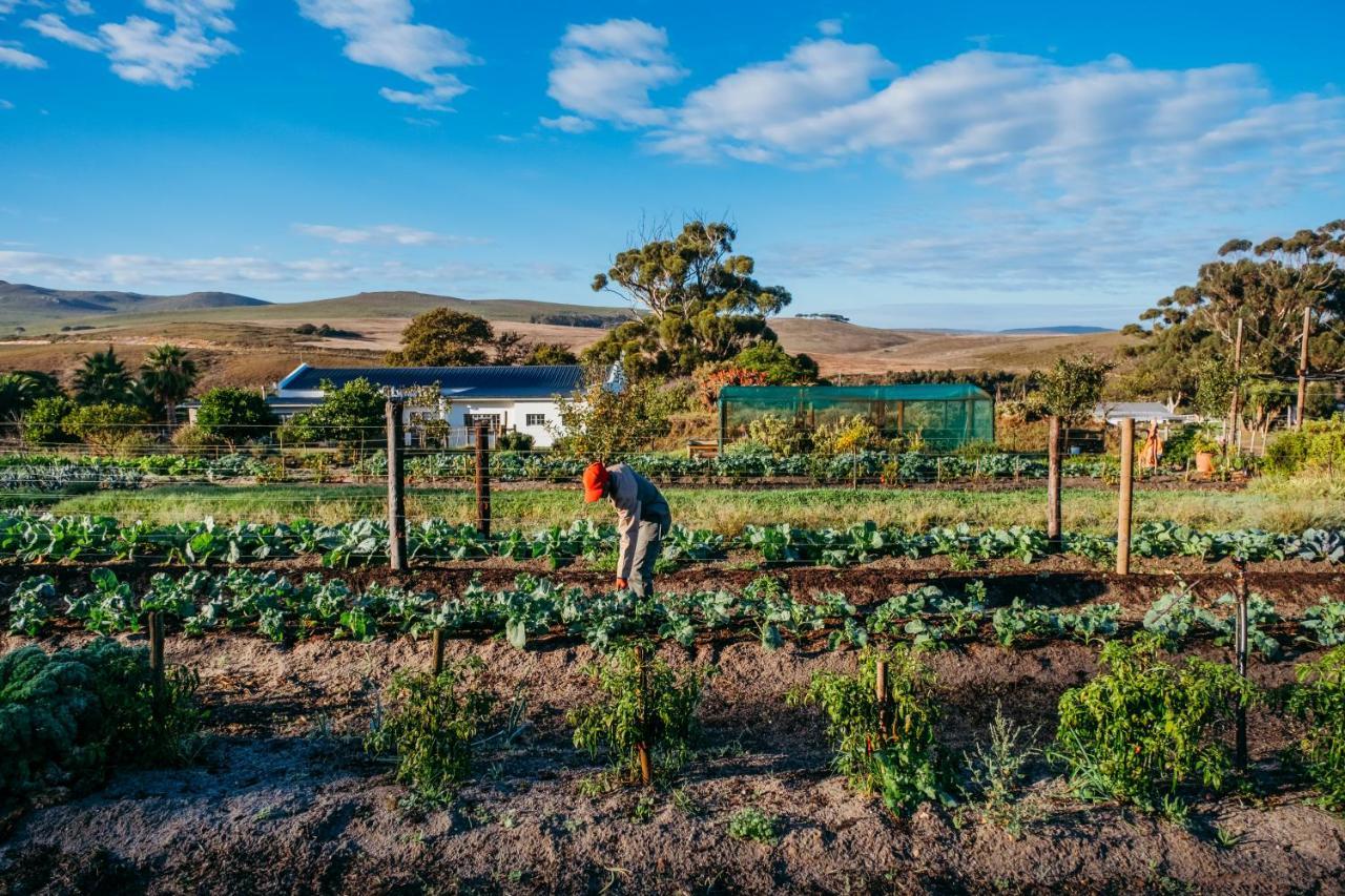 منزل الضيف ستانفورد  في White Water Farm المظهر الخارجي الصورة