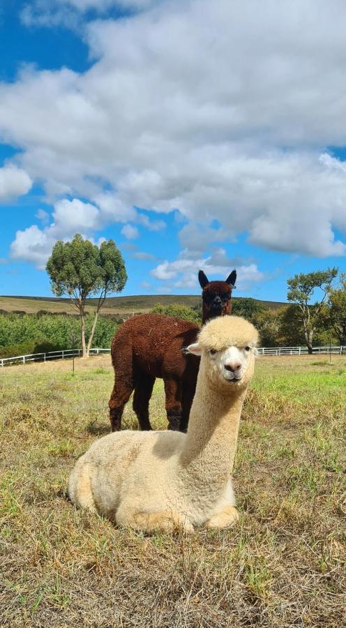 منزل الضيف ستانفورد  في White Water Farm المظهر الخارجي الصورة