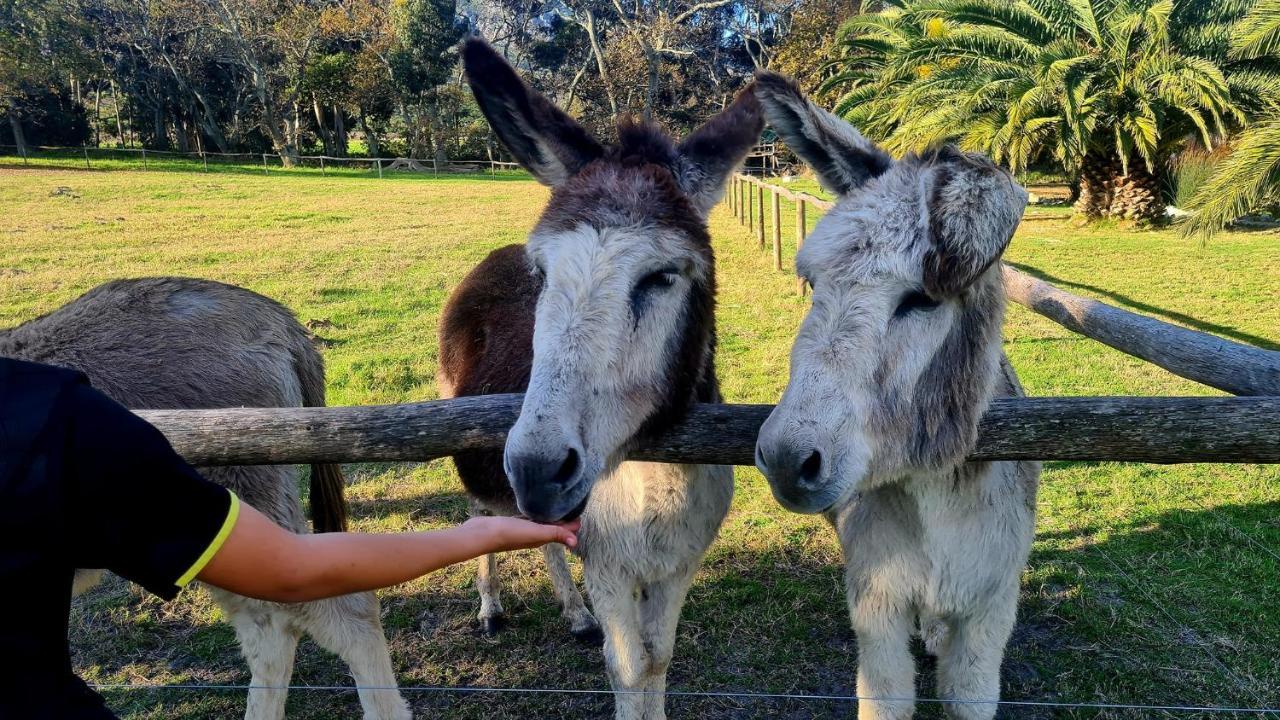 منزل الضيف ستانفورد  في White Water Farm المظهر الخارجي الصورة